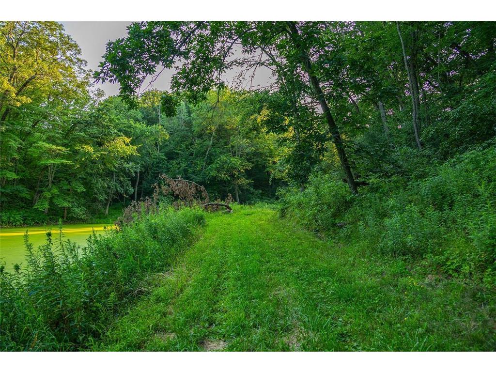 TBD Cty Road S Preston Twp WI 54616 7055024 image15