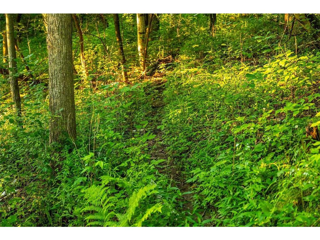 TBD Cty Road S Preston Twp WI 54616 7055024 image17