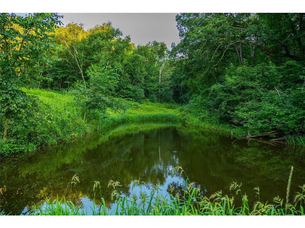 TBD Cty Road S Preston Twp WI 54616 7055024 image19