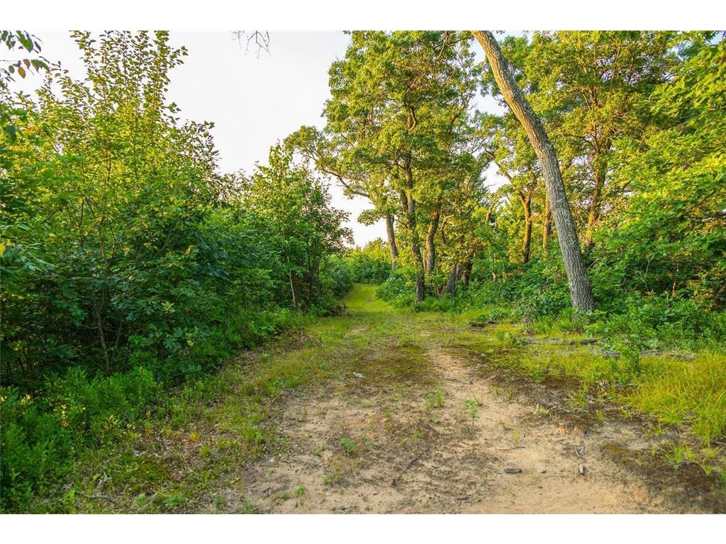 TBD Cty Road S Preston Twp WI 54616 7055024 image24