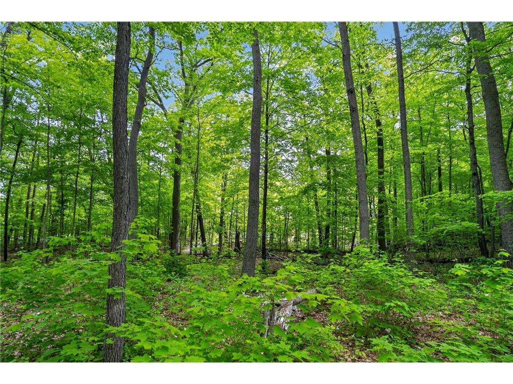 TBD Cuyuna Greens Drive Deerwood Twp MN 56444 - Black Lake 7083961 image10