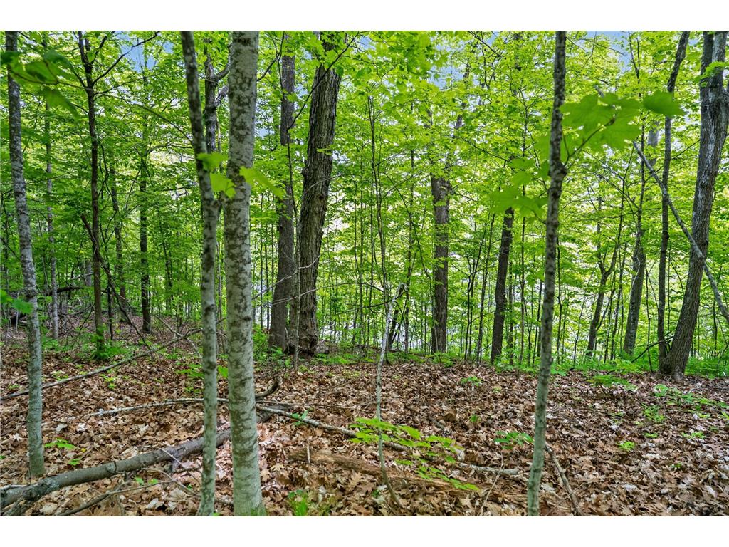TBD Cuyuna Greens Drive Deerwood Twp MN 56444 - Black Lake 7083961 image8