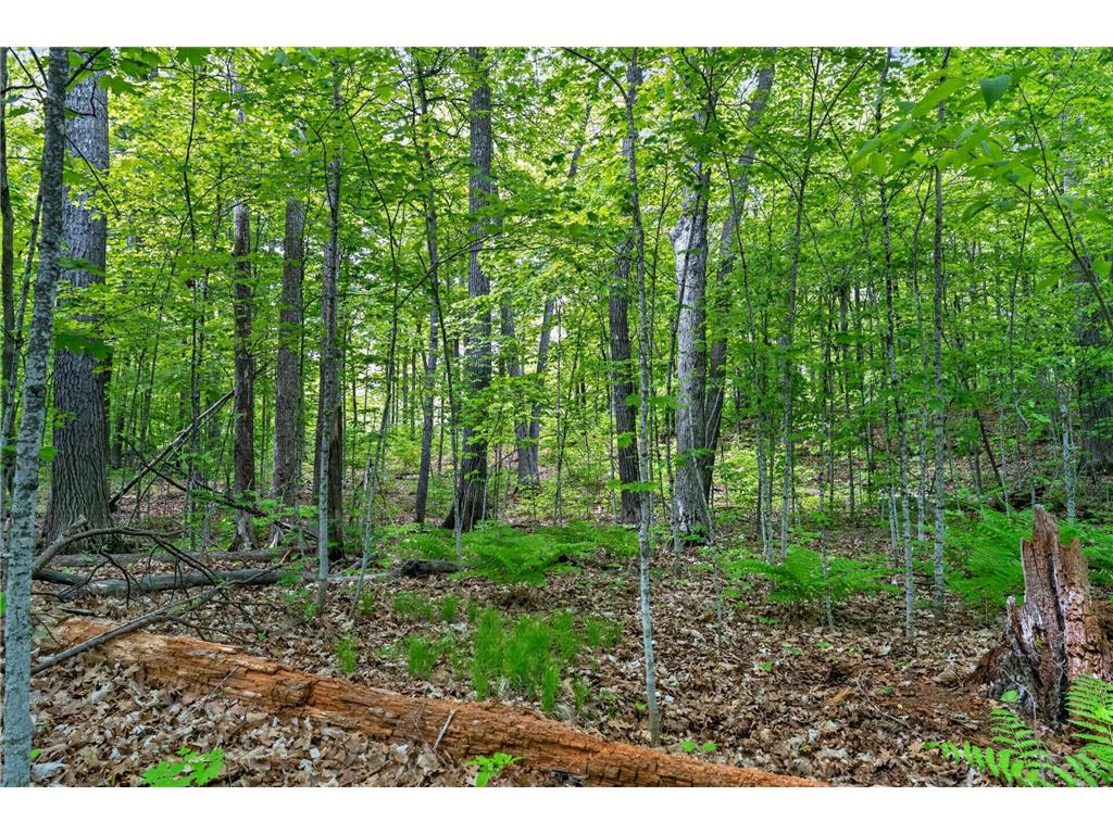 TBD Cuyuna Greens Drive Deerwood Twp MN 56444 - Black Lake 7083961 image9