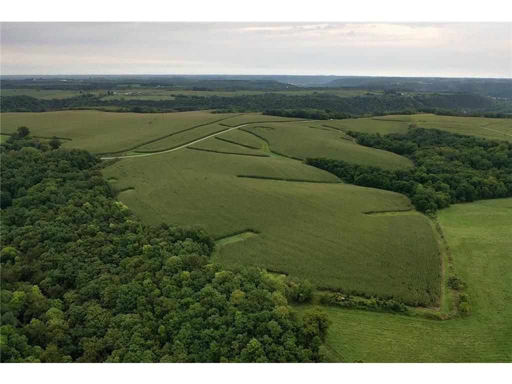TBD Dairy Lane Arendahl Twp MN 55962 6476263 image1