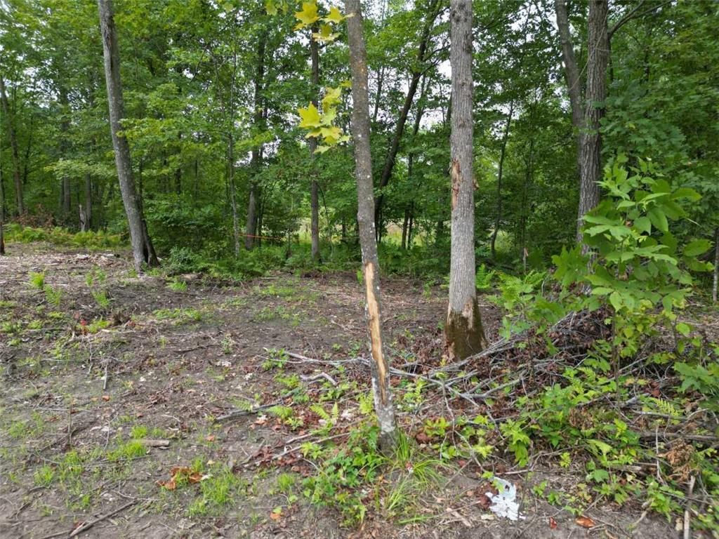 TBD Dau Dr. Milltown WI 54858 6778648 image6