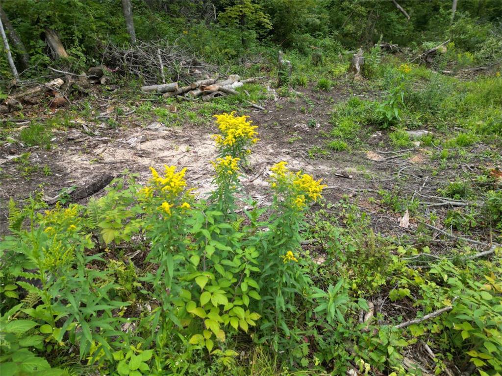 TBD Dau Dr. Milltown WI 54858 6778648 image9