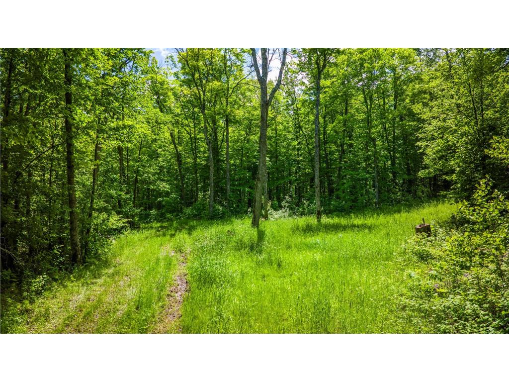 TBD Deervine Trail NE Tenstrike MN 56683 6548361 image1