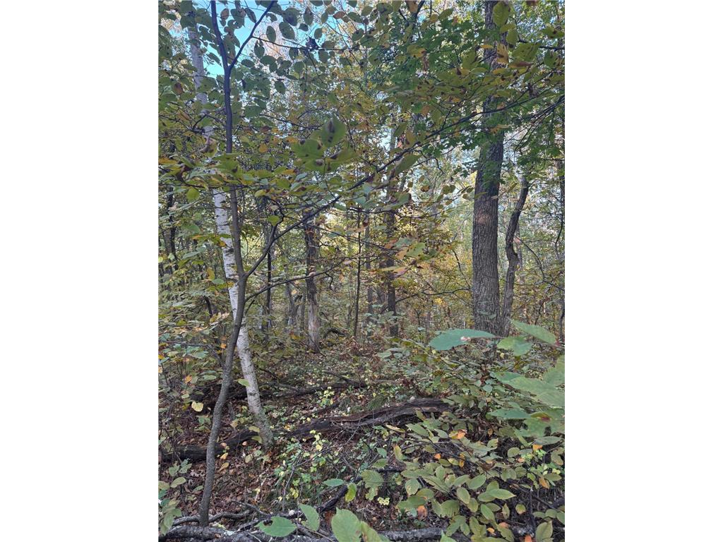 TBD Dell Marie Place Breezy Point MN 56472 6795673 image1