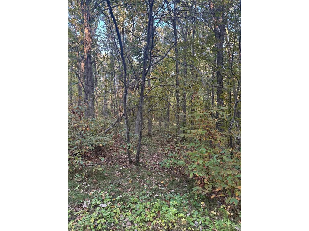 TBD Dell Marie Place Breezy Point MN 56472 6795673 image3