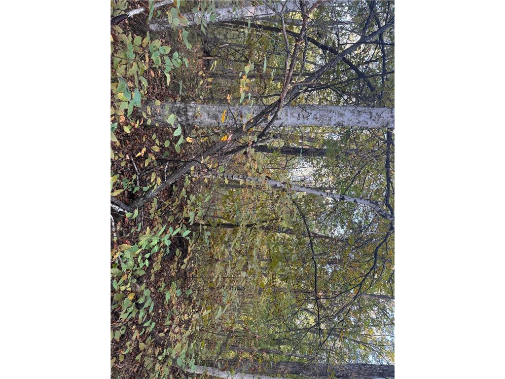 TBD Dell Marie Place Breezy Point MN 56472 6795673 image4