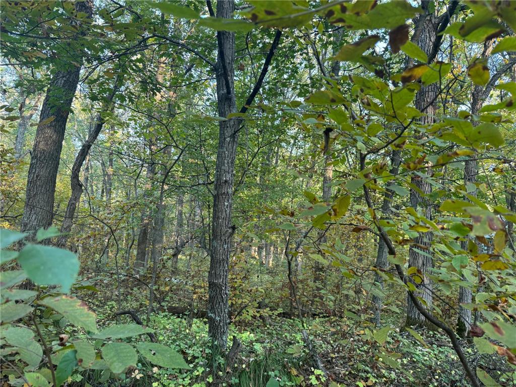 TBD Dell Marie Place Breezy Point MN 56472 6795673 image5