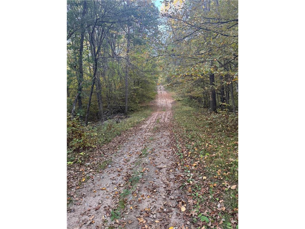 TBD Dell Marie Place Breezy Point MN 56472 6795673 image6