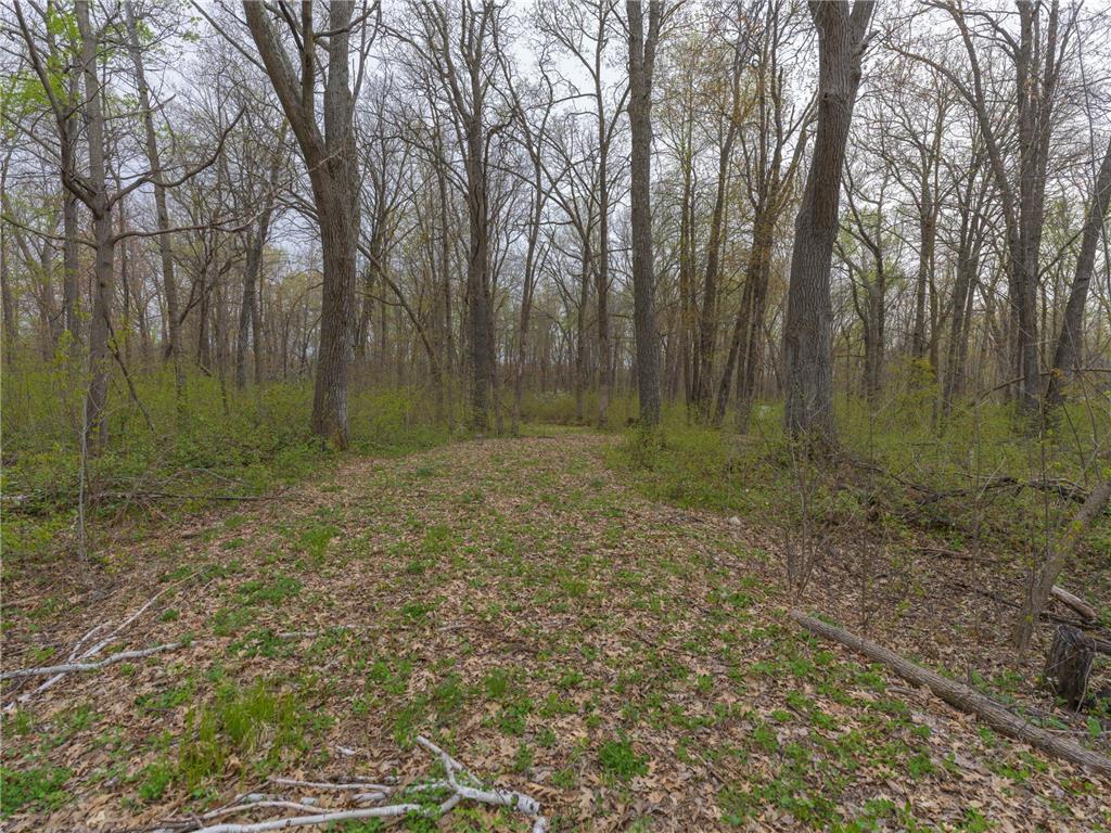 TBD Destiny Drive Garrison MN 56450 7074764 image1