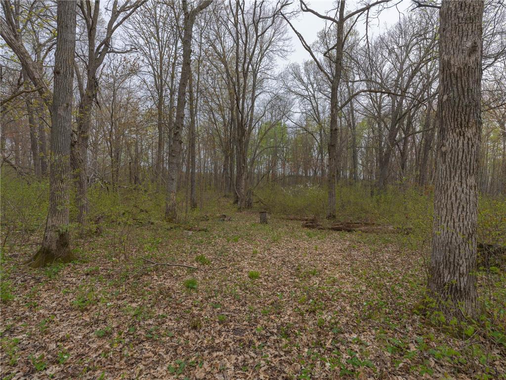 TBD Destiny Drive Garrison MN 56450 7074764 image2