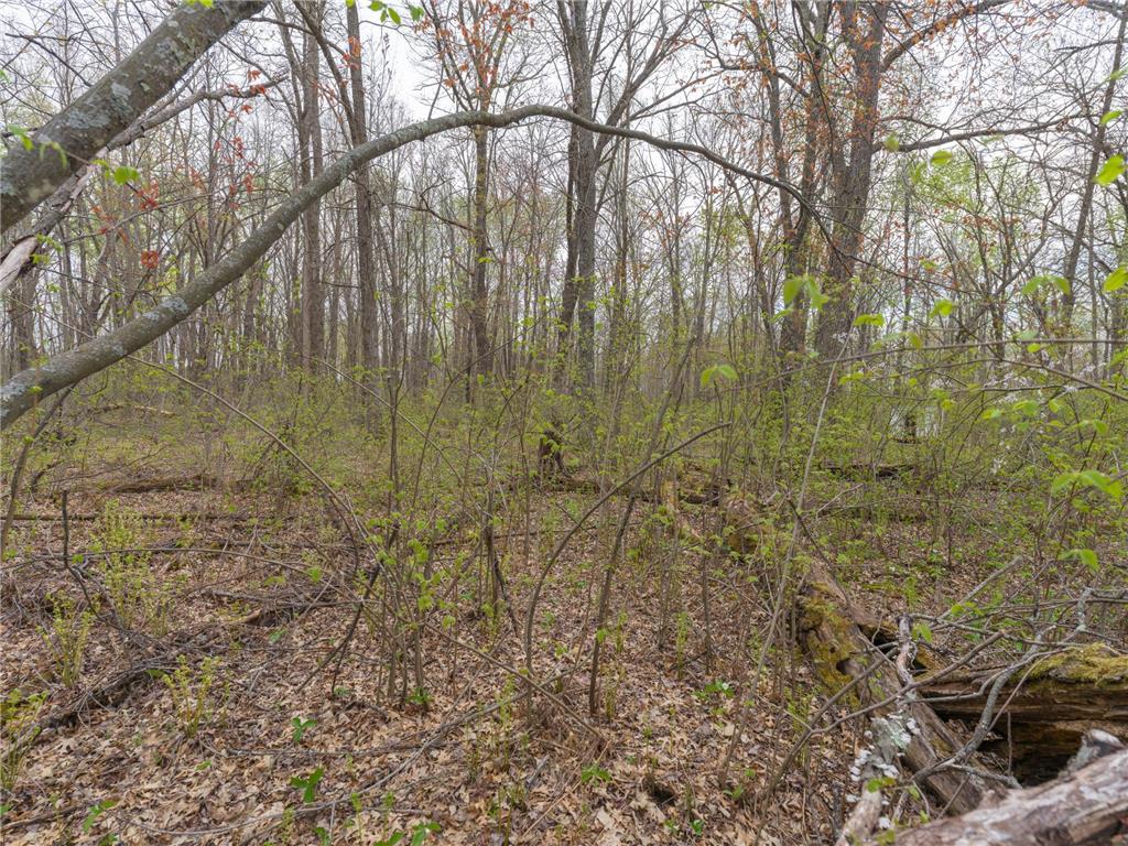 TBD Destiny Drive Garrison MN 56450 7074764 image4