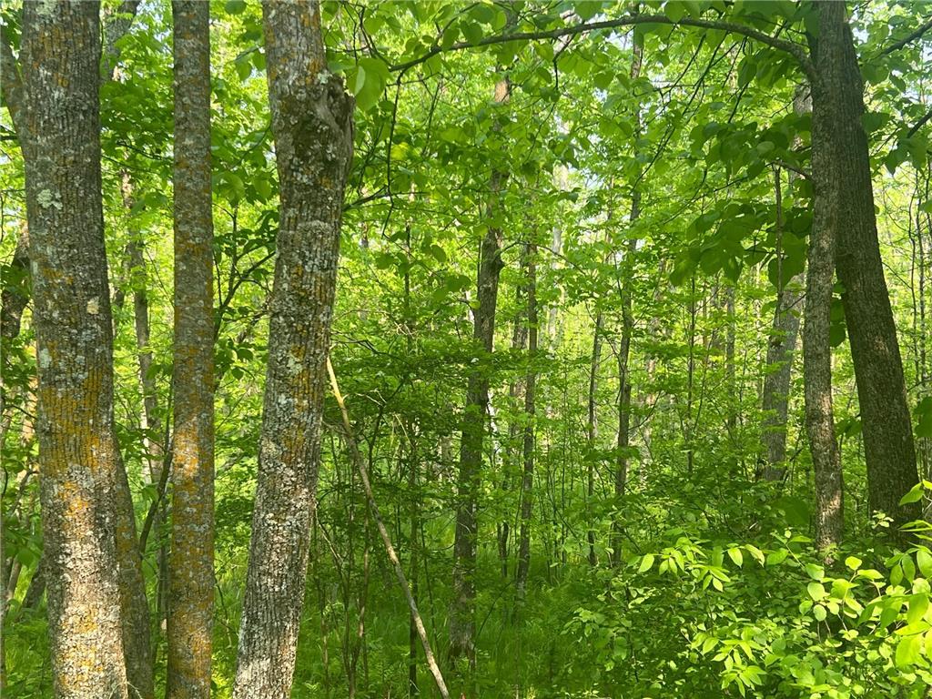 TBD Dettbarn Rd. Lake Shore MN 56468 - Upper Gull 6730406 image4