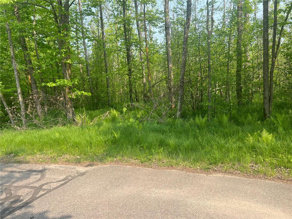 TBD Dettbarn Rd. Lake Shore MN 56468 - Upper Gull 6730406 image7