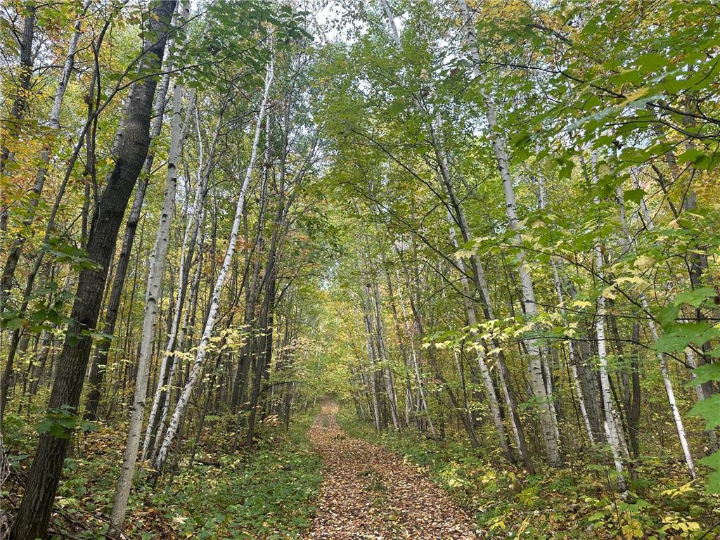 TBD Diamond Drive Randall MN 56475 6442915 image1