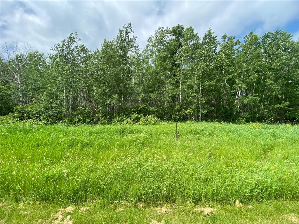 TBD Division Street W Bemidji MN 56601 6790916 image1