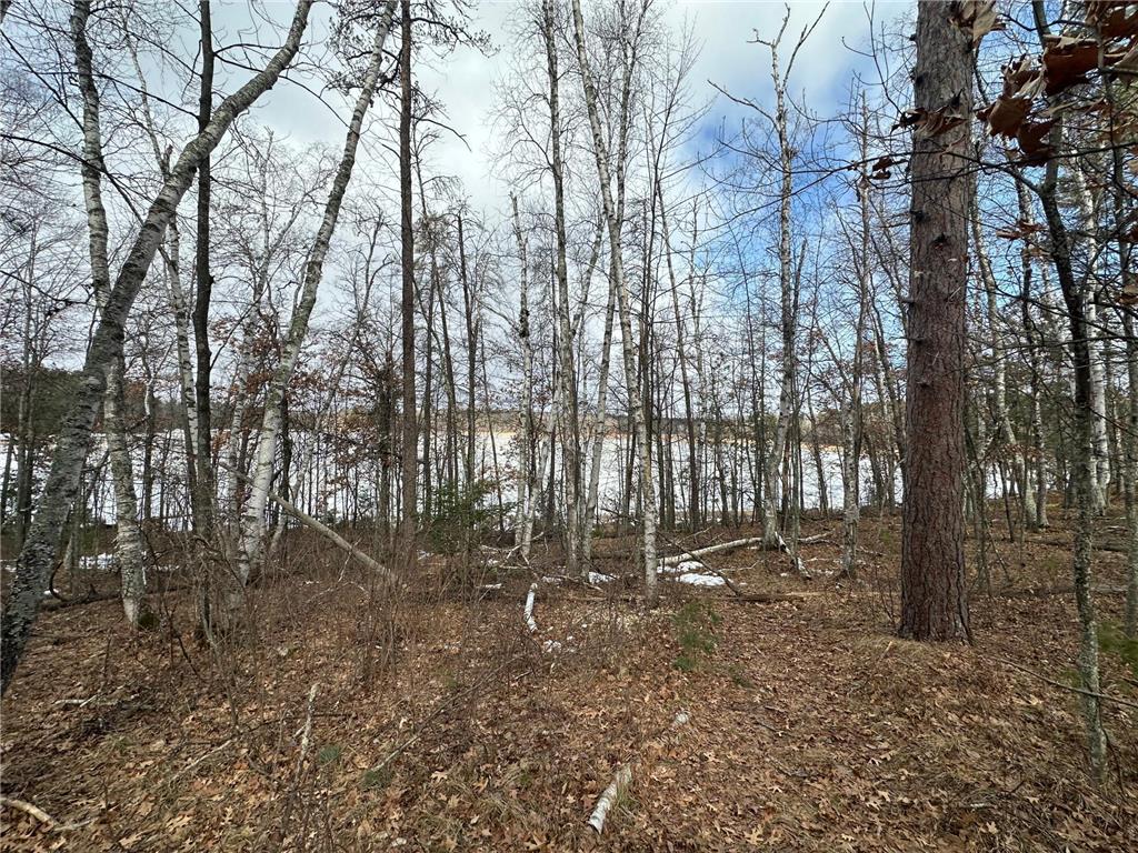 TBD Dobosenski Road Windemere Twp MN 55783 - Lower Rush Lake 7048936 image11