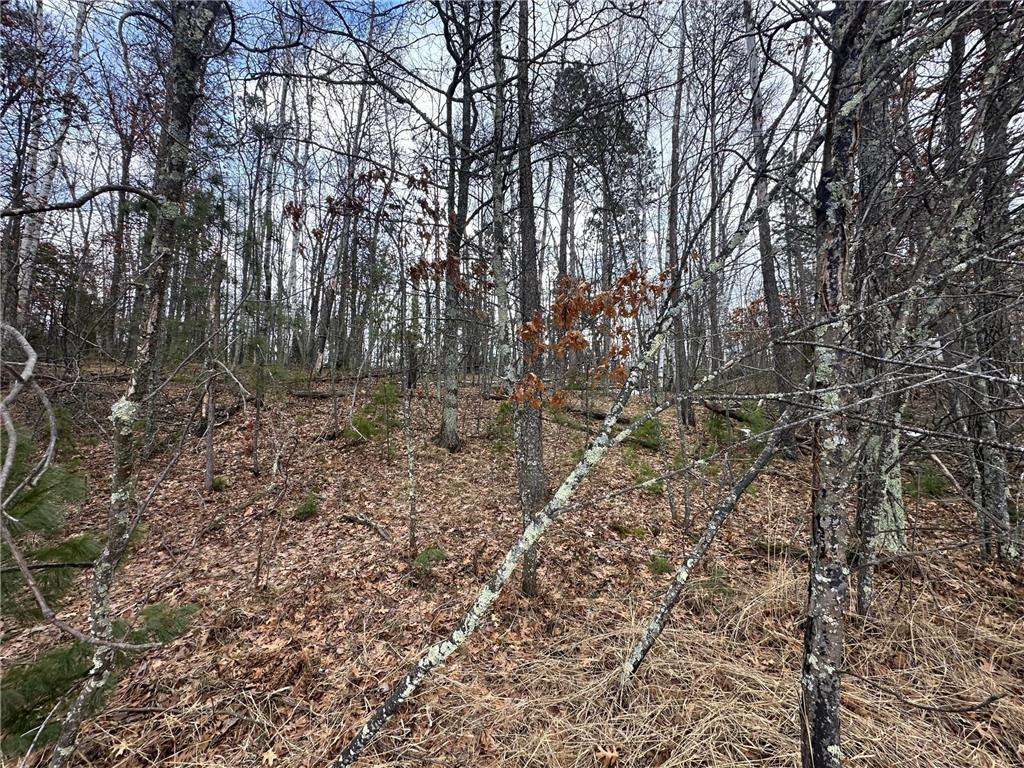 TBD Dobosenski Road Windemere Twp MN 55783 - Lower Rush Lake 7048936 image12