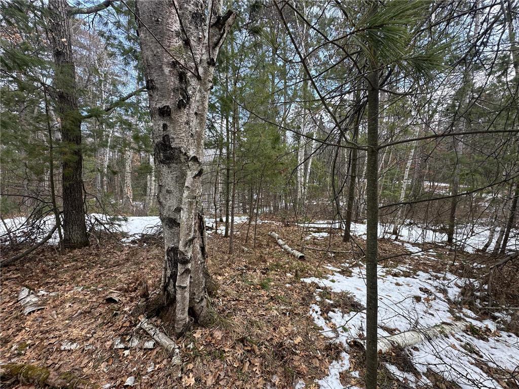 TBD Dobosenski Road Windemere Twp MN 55783 - Lower Rush Lake 7048936 image13