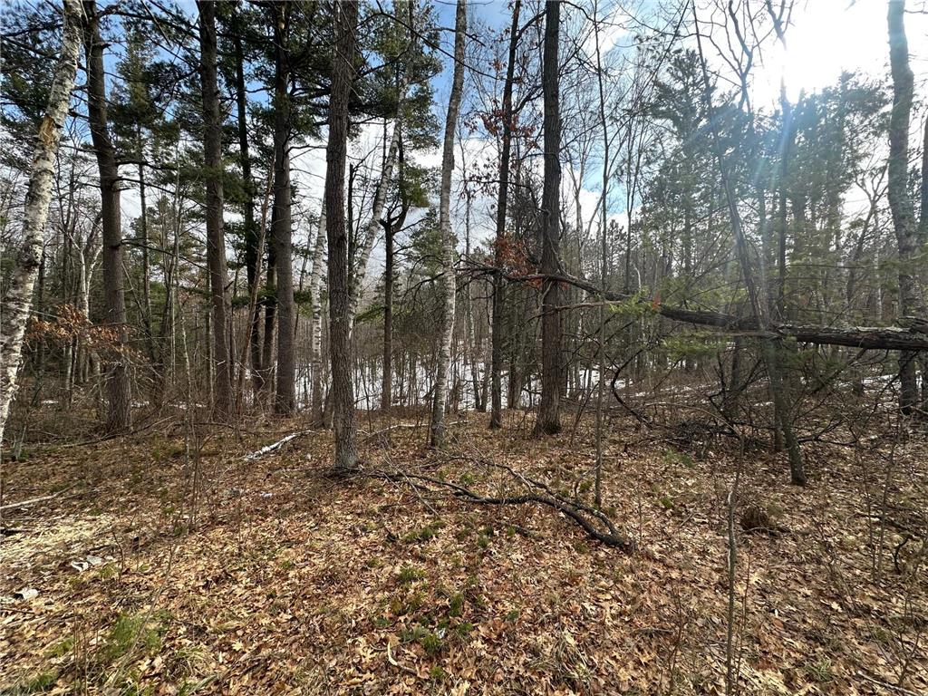 TBD Dobosenski Road Windemere Twp MN 55783 - Lower Rush Lake 7048936 image8