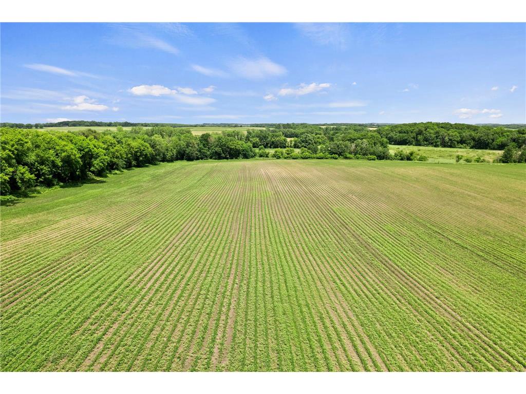 TBD Dodd Road Kilkenny Twp MN 56052 7085092 image18