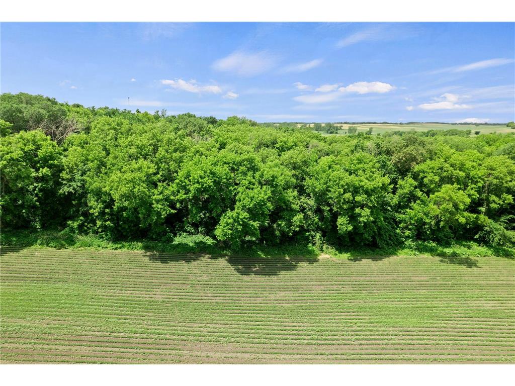 TBD Dodd Road Kilkenny Twp MN 56052 7085092 image19