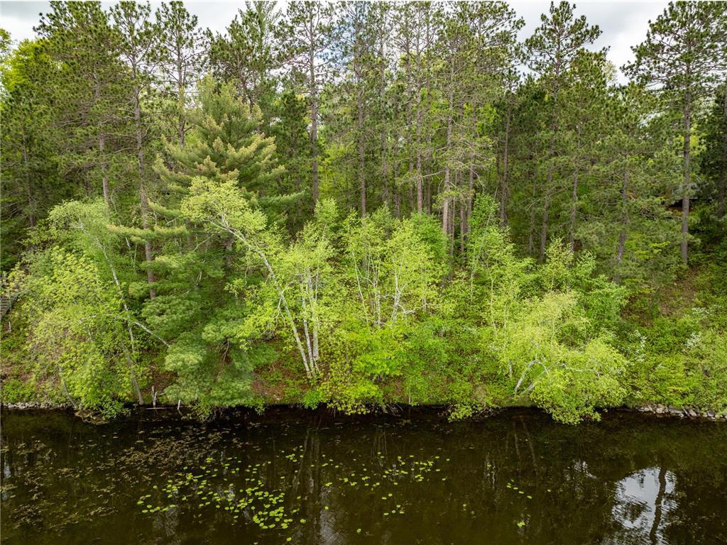 TBD Dodder Lane SW Loon Lake Twp MN 56472 - Sibley 6539354 image10