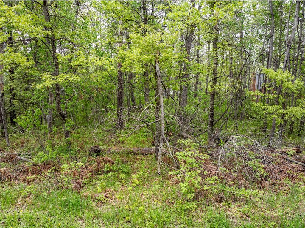 TBD Dodder Lane SW Loon Lake Twp MN 56472 - Sibley 6539354 image16