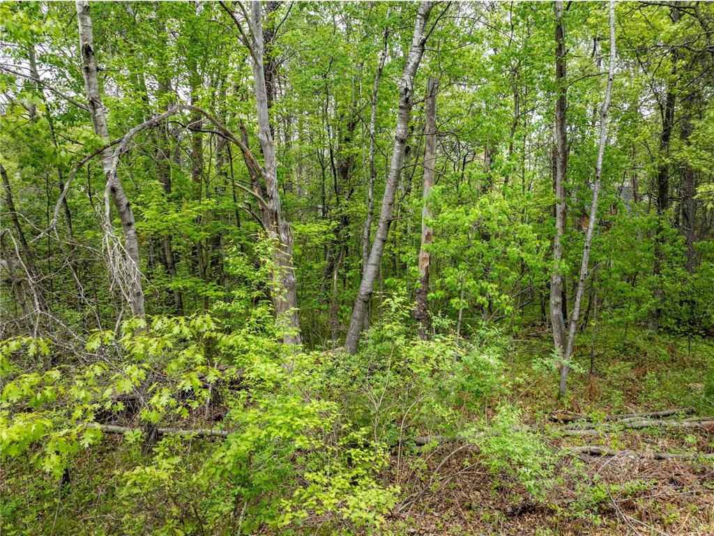 TBD Dodder Lane SW Loon Lake Twp MN 56472 - Sibley 6539354 image17