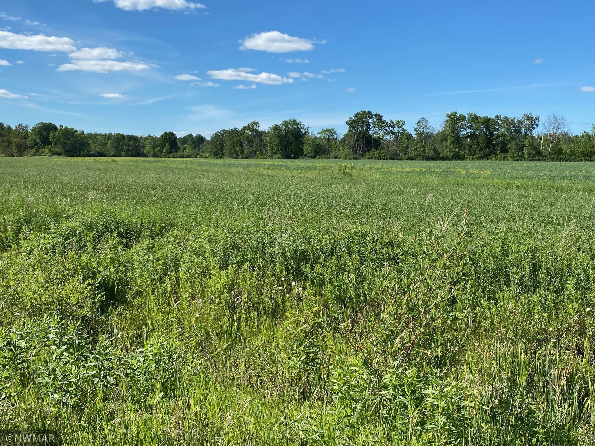 TBD Dogwood Drive NE, Kelliher, MN, 56650 MLS 6007922 Edina Realty