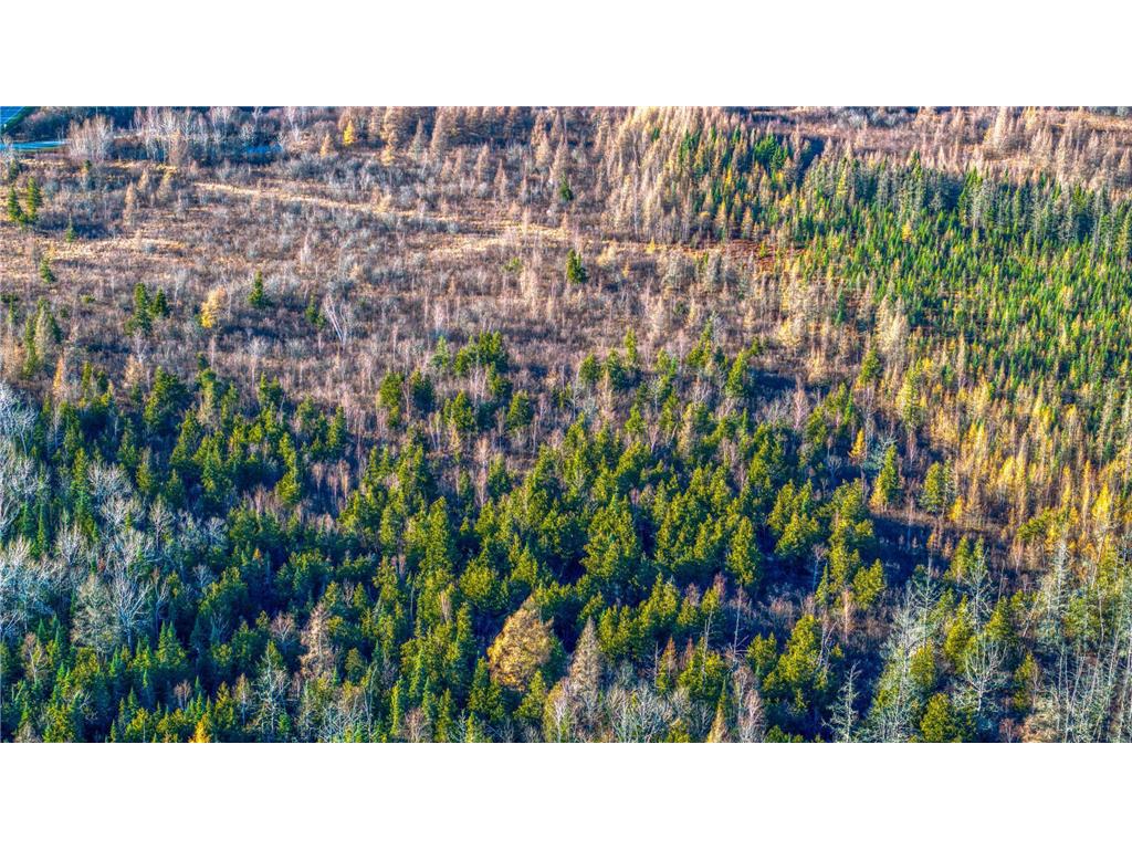 TBD Dora Lake Rd Kinghurst Twp MN 56661 7050749 image15