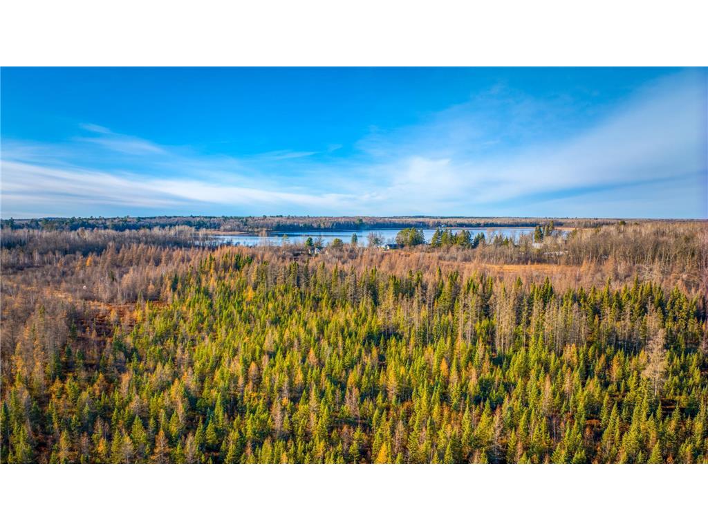 TBD Dora Lake Rd Kinghurst Twp MN 56661 7050749 image19
