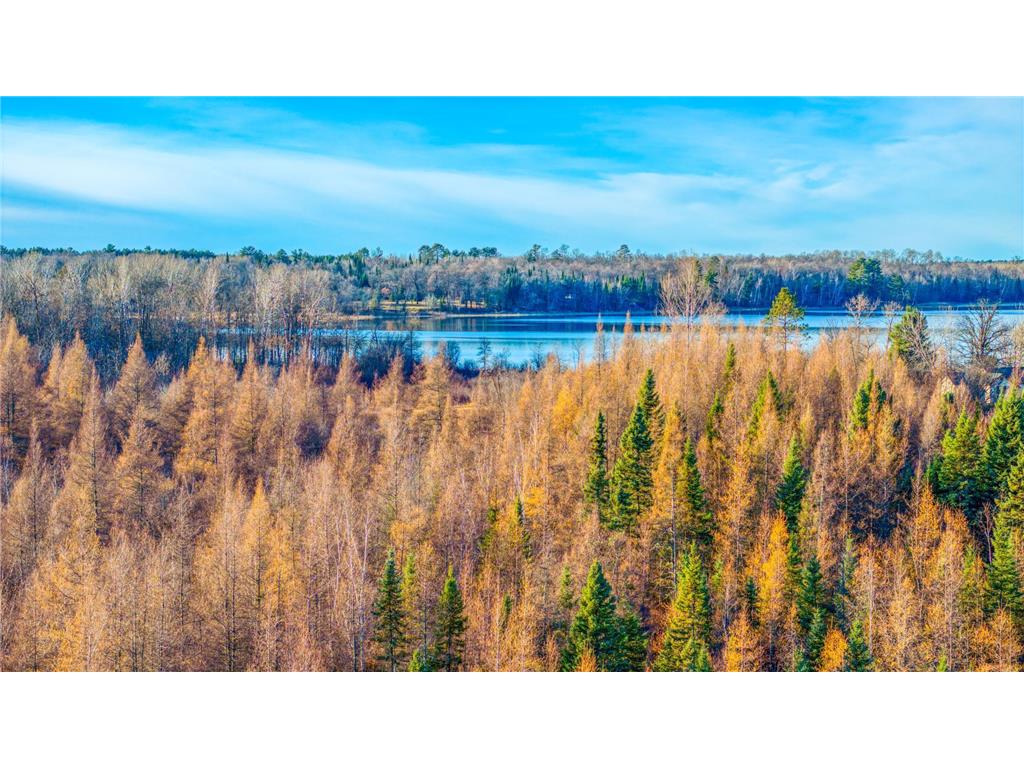 TBD Dora Lake Rd Kinghurst Twp MN 56661 7050749 image20