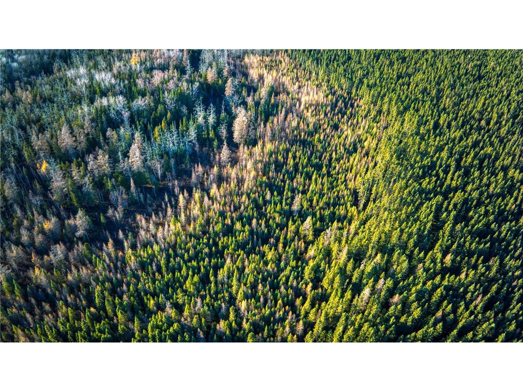 TBD Dora Lake Rd Kinghurst Twp MN 56661 7050749 image23