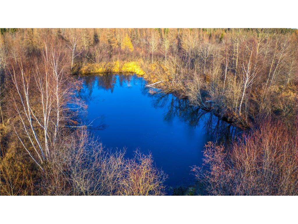 TBD Dora Lake Rd Kinghurst Twp MN 56661 7050749 image32