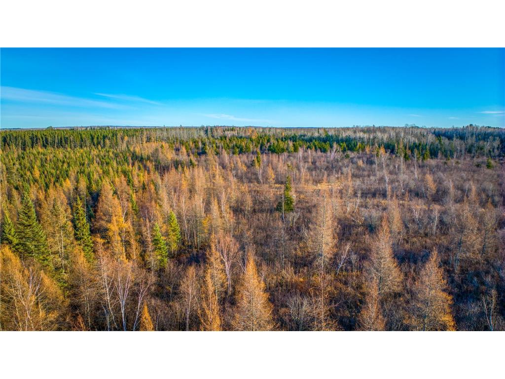 TBD Dora Lake Rd Kinghurst Twp MN 56661 7050749 image33