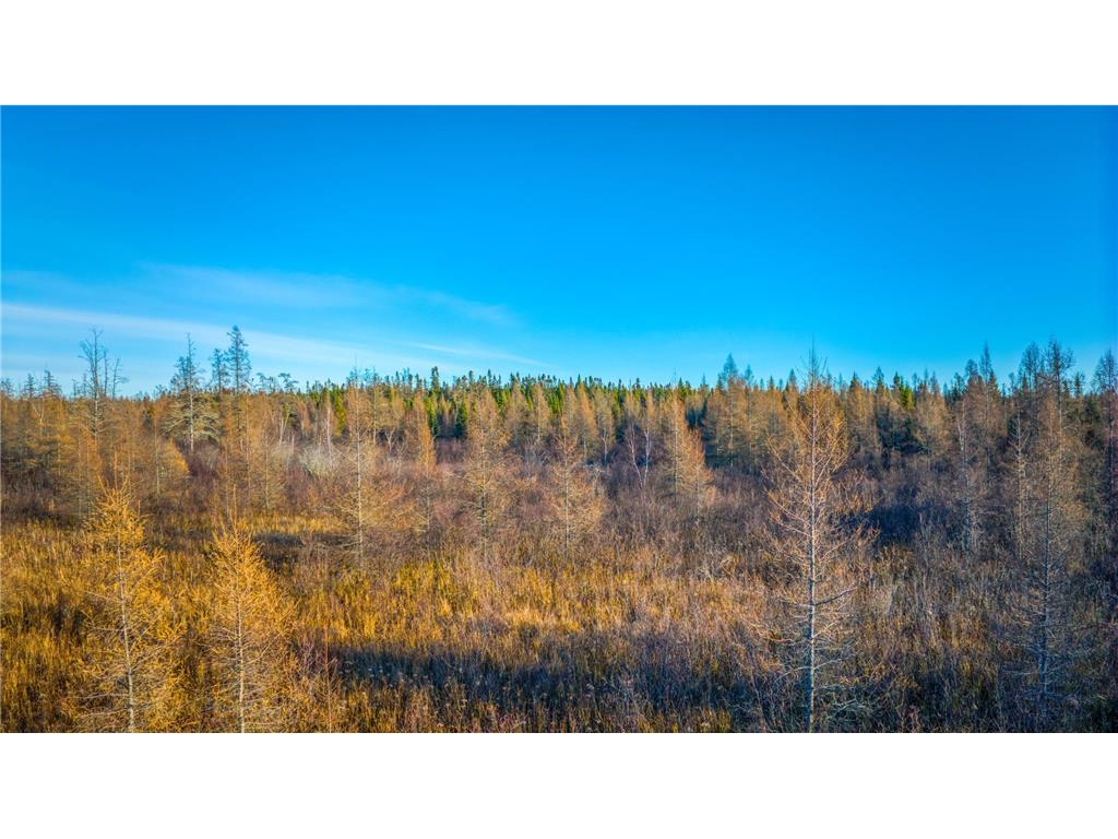 TBD Dora Lake Rd Kinghurst Twp MN 56661 7050749 image35