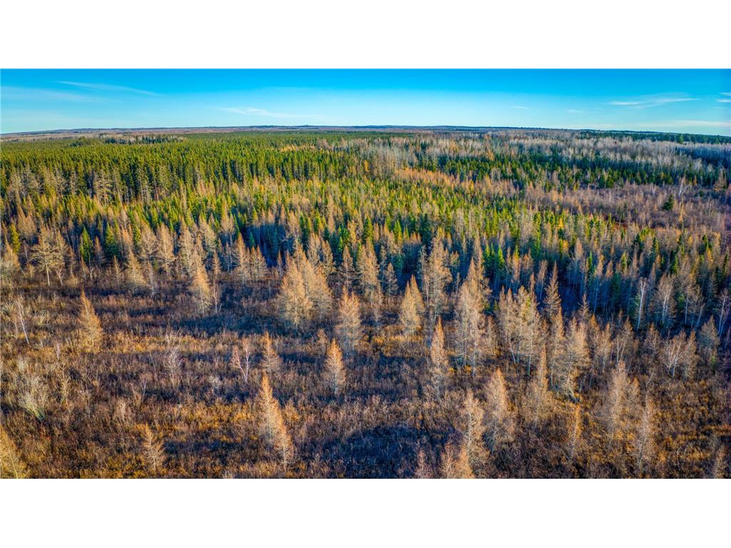 TBD Dora Lake Rd Kinghurst Twp MN 56661 7050749 image36