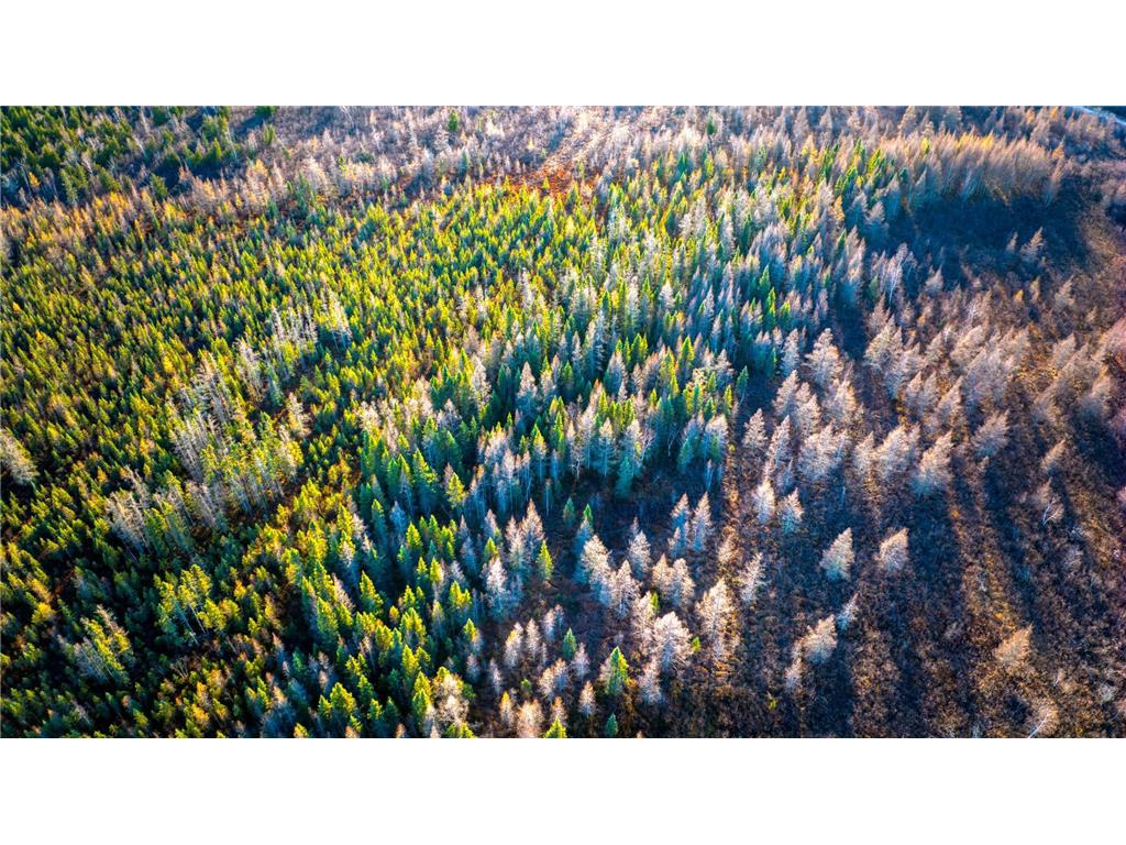 TBD Dora Lake Rd Kinghurst Twp MN 56661 7050749 image37
