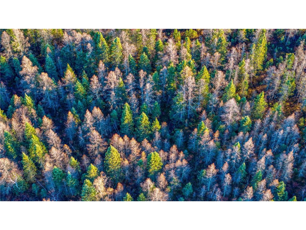 TBD Dora Lake Rd Kinghurst Twp MN 56661 7050749 image38