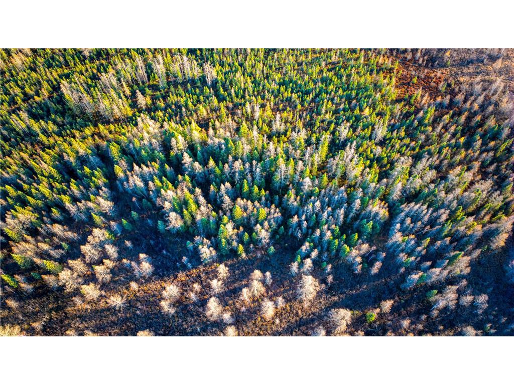 TBD Dora Lake Rd Kinghurst Twp MN 56661 7050749 image39