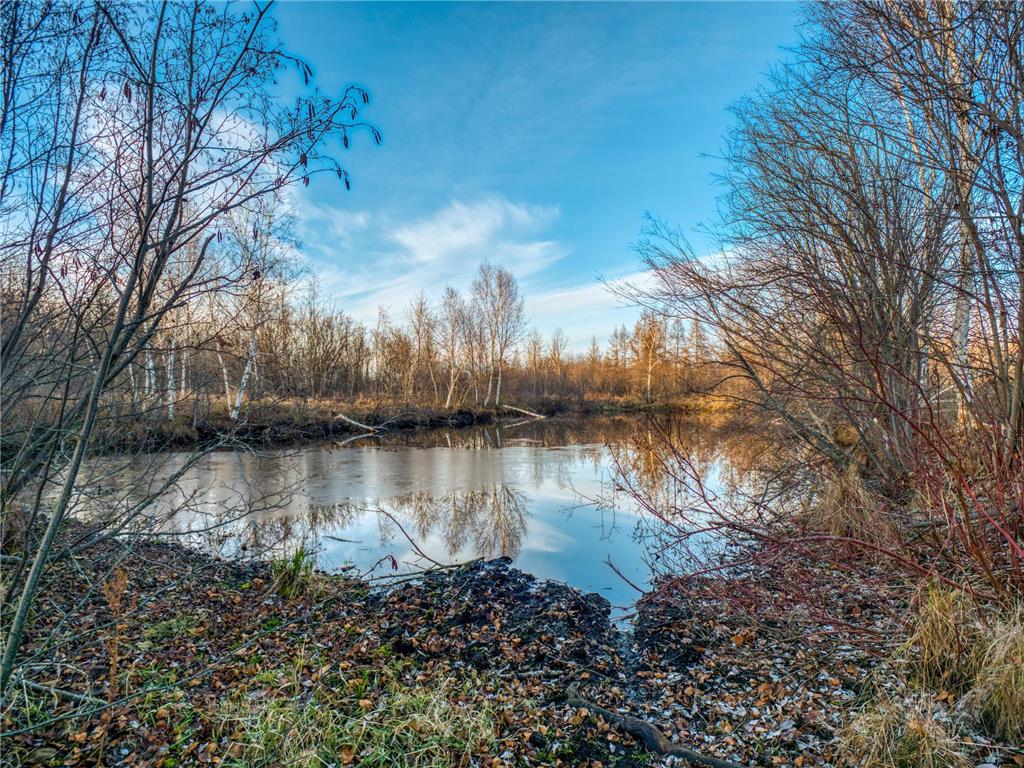 TBD Dora Lake Rd Kinghurst Twp MN 56661 7050749 image4