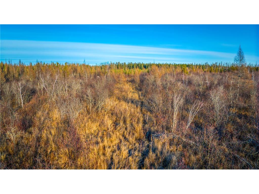 TBD Dora Lake Rd Kinghurst Twp MN 56661 7050749 image40