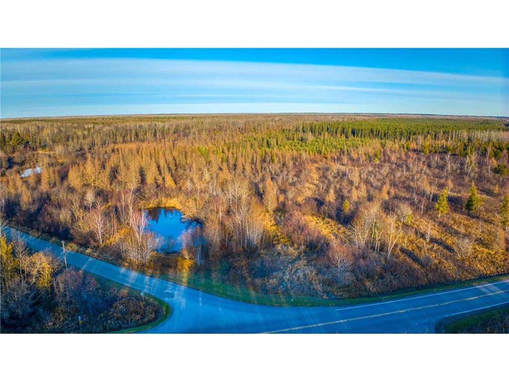 TBD Dora Lake Rd Kinghurst Twp MN 56661 7050749 image41