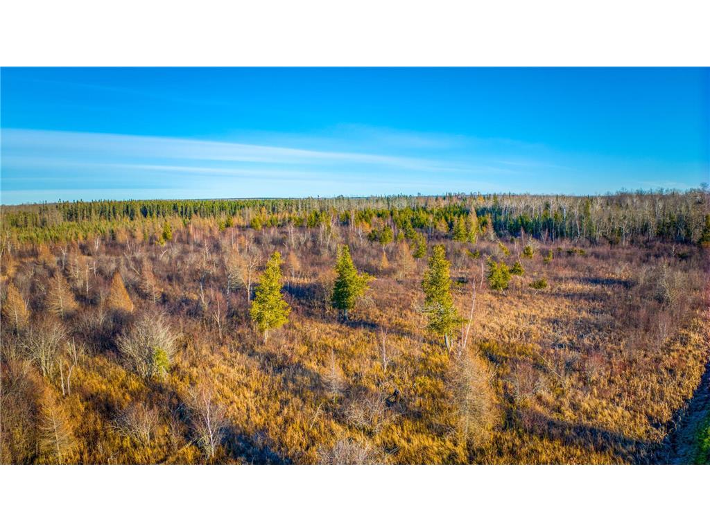 TBD Dora Lake Rd Kinghurst Twp MN 56661 7050749 image43
