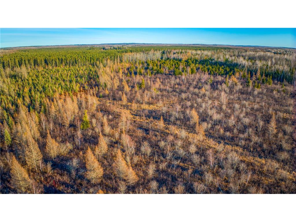 TBD Dora Lake Rd Kinghurst Twp MN 56661 7050749 image47