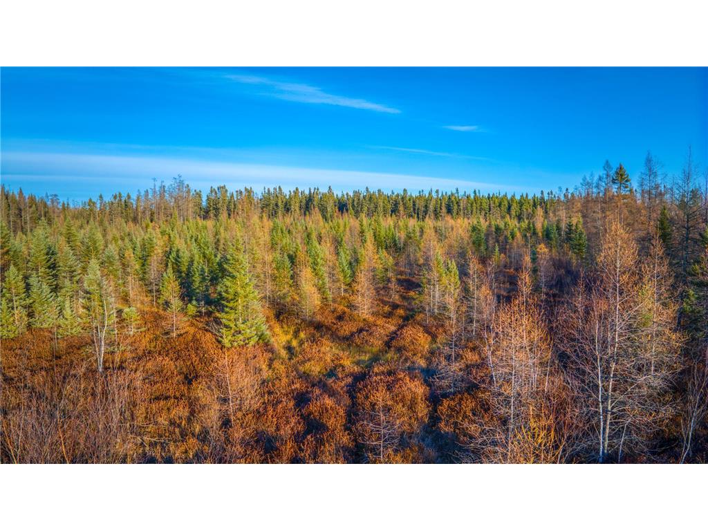 TBD Dora Lake Rd Kinghurst Twp MN 56661 7050749 image48